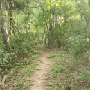 한수레산악회 1월 산행-전주 계룡산 이미지