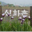 둔포농장 Daum카페
