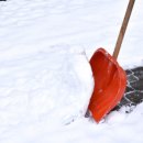 아름답개 이미지