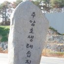 주암호 생태습지 이미지
