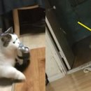 가자 이미지