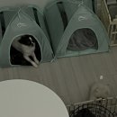 세븐스타코인노래연습장 동탄역점 이미지