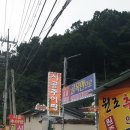 옛시골추어탕