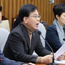 한채 Daum카페
