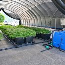 수경 농장 이미지