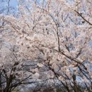 일범식당 이미지