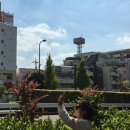 바지를 입은 구름 이미지