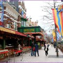 포시즌 봄 이미지