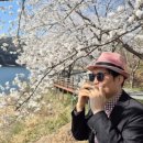 하모니카(실용) 이미지