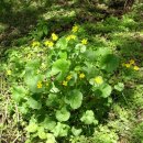 등산로(상) 이미지