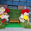 대전갈마유치원 이미지