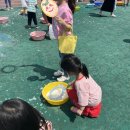 양평종합운동장(족구장) | <20240504> 2024양평어린이대축제 - 양평 종합운동장 축제 방문 후기