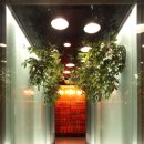 공간속의빛 이미지