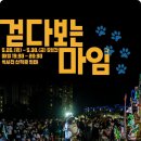 2025 춘천마임축제 이미지