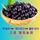 건강안심몰 | 우리 가족 보랏빛 건강 비결! 에버론몰 무농약 아로니아 5kg 후기 💜