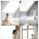 양선경 이미지