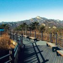 통일로42길 이미지