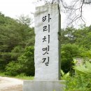 산새도 이미지