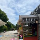 혜성닭집 | [동해차박여행] 해안도로따라 해수욕장 도장깨기 / 강릉중앙시장 먹부림