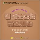 질축소수술 후기 자세한 차이 검토