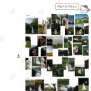 서양화(오전) | 스냅 후보 [서양화 ❘ 언포게터블 ❘ 헬퍼훈스냅 ❘ 제주로그] + 제주 겨울 야외 스냅, 서양화 스냅 계약 후기