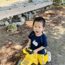 * 🍁🍂가을소풍 - 포니랜드 🐴🍠🐑 하나 이미지