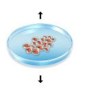 쉬즈힐의원 이미지
