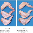 여름보양식 연산오골계는 천연기념물로 맛과 영양이 뛰어나다 이미지