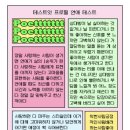 마젤토브