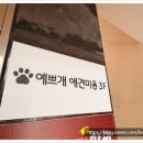 예쁘개 미용할개 | 보령애견미용 예쁘개 맞춤 케어로 만족한 반려견 미용 후기