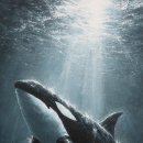 무궁무진 주식회사 이미지