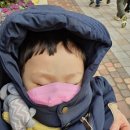 코모도호텔 경주 이미지