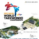 국제UFC태권도