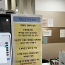 ㈜제주보고타렌트카 | [제주/내돈내산] 보고타 렌트카