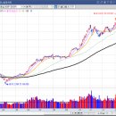 일동바이오사이언스(주) | 에임드바이오 삼양바이오팜 오가노이드사이언스 260107