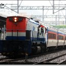 H1254 이미지
