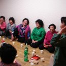 언니네텃밭 고성공동체 이미지