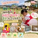 인천 피크닉하우스 인천 아기랑 갈만한 곳