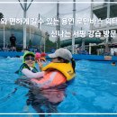 로만바스 이미지