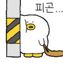 동아스크린골프 이미지