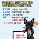 더펫프리미엄 이미지