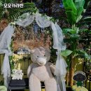 모모카라반에서의 특별한 하루 🌟