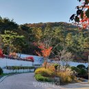 바다향기 이미지