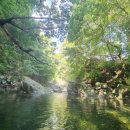 흥정계곡캠핑700 이미지