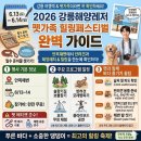 강릉해양레저 펫가족 힐링페스티벌 2026 날짜 장소 프로그램 반려견과 함께 하는 강릉 바다 여행