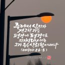 심지 - 중구 봉산문화2길 42-31 | 심지
