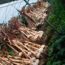 안이하우스 이미지