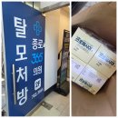 종로보령피부과의원 | 종로5가 탈모병원 주말 처방비 종로365의원 보령약국