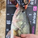 백학지 옆 이미지