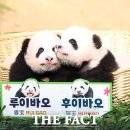 쌍둥이사진관 이미지